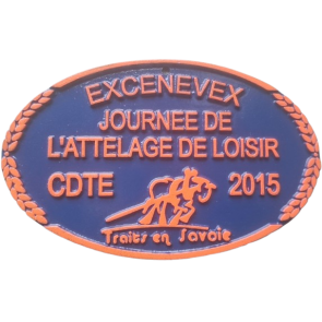 Plaque aluminium forgé (16x10)