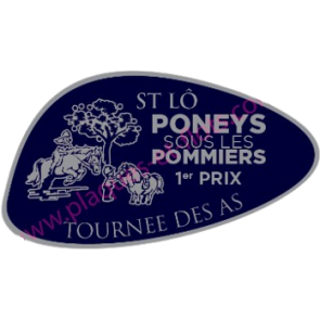plaque moderne traditionnelle en fonte