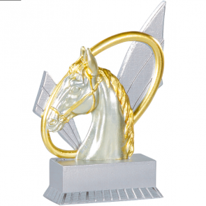 trophee tete de poney cheval conours elevage cso