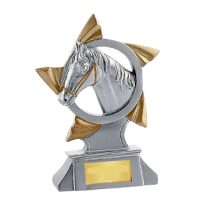 torphee poney cheval competition equestre elevage dressage cso