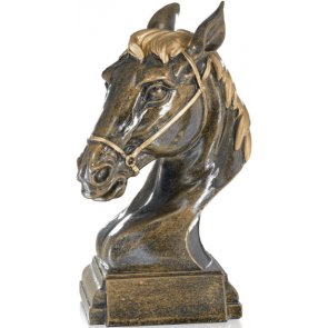 trophee coupe tete de cheval ou poney elevage ethologie obstacles