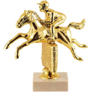 Trophee obstacle equitation cso poney cheval chevaux poneys