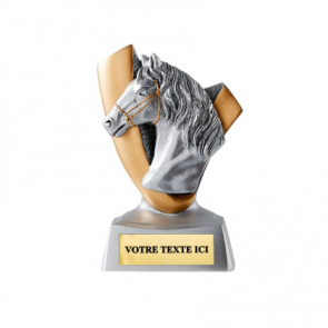 trophee tete de poney cheval competition equestre concours equitation