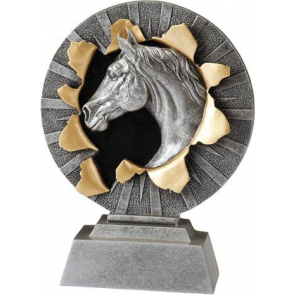 Beau trophee coupe cheval expressif dressage elevage ethologie