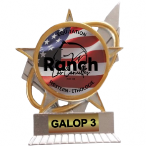 trophee western personnalisable equitation americaine 