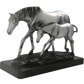 Trophée modèle et allures élevage concours polinière comice foal poulain yearling