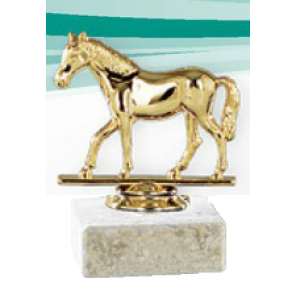 mini trophee cheval poney concours equitation hippique allures liberte