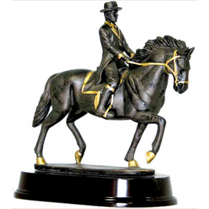 trophée dressage concours de chevaux équitation cheval