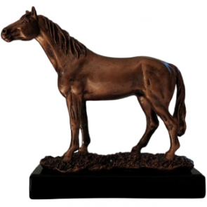 trophee elevage cheval poney race equitation