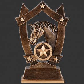 trophee western ranch-equitation-poney USA equestre cheval chevaux poneys
