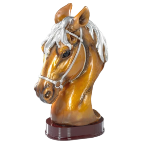 Trophée équitation cheval tete concours poney cso dressage elevage