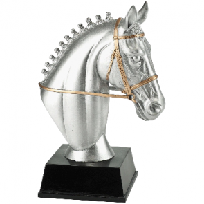 trophee dressage cheval tresse nate