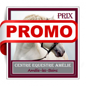 plaques concours equitation chevaux aluminium alu personnalisable CCE