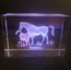 trophee elevage verre 3D conours chevaux