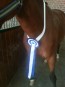 Collier poney chevaux cheval champion concours hippique equitation