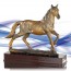 trophee elevage cheval en liberte concours equitation equestre poulain