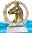 Trophee concours equitation equestre poneys chevaux