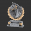 Trophees vainqueur  gagnant concours equestre prix