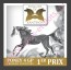 plaque et flots concours equitation personnalisable metal
