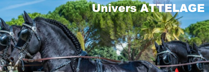uattelage1