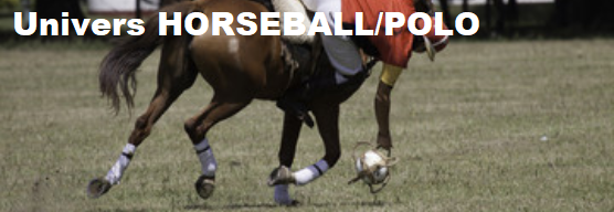 uhorseball3