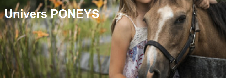 uponeys1