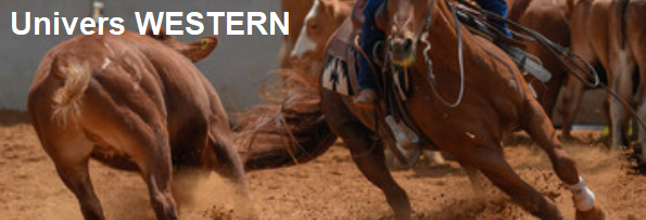 uwestern3
